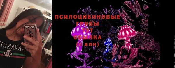 эйфоретик Протвино