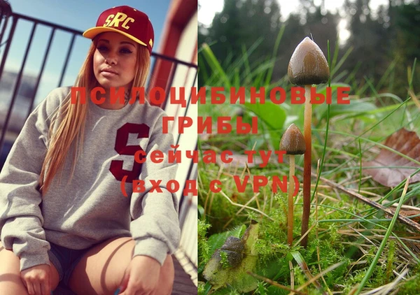мяу мяу кристалл Покачи