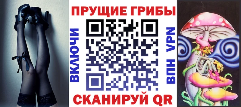 Псилоцибиновые грибы Cubensis  Сортавала 